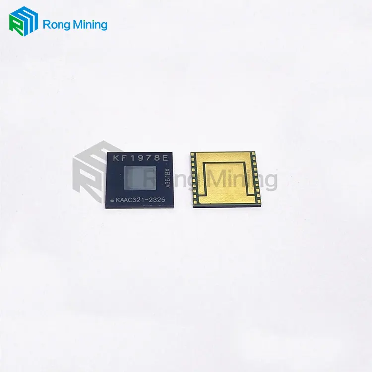 Welche Bergbauchips liefern maximale Hash -Rate und -Effizienz?